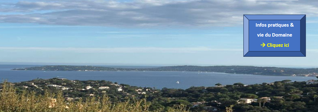 image header vue maison